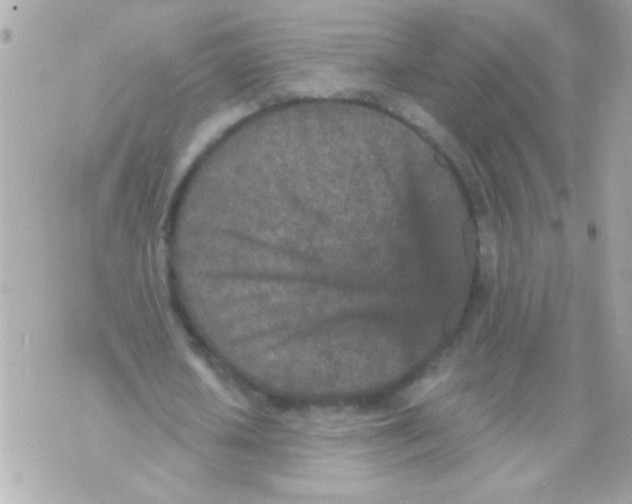 X0000070420626200607072335