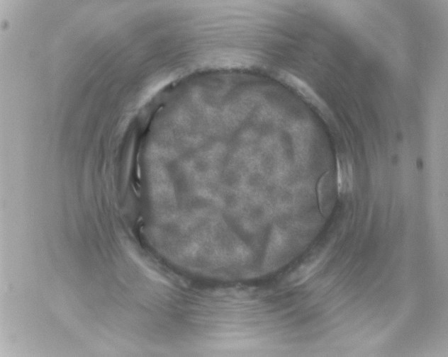 X0000070420627200607072335