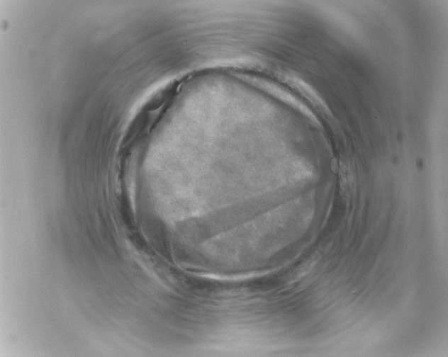 X0000070420628200607072335