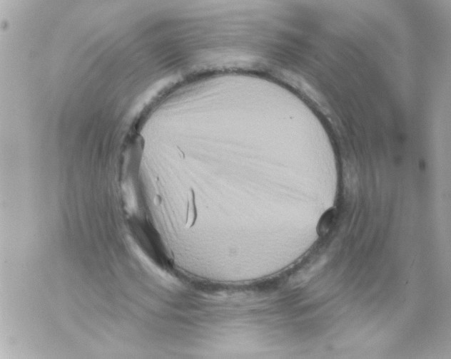 X0000070420629200607072335