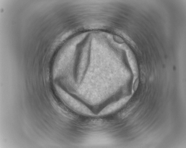 X0000070420631200607072335