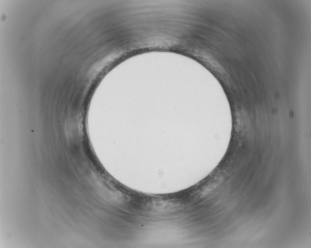 X0000070420632200607072335