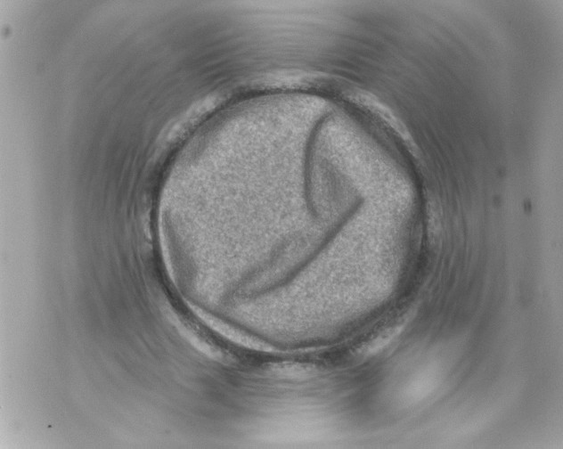 X0000070420633200607072335