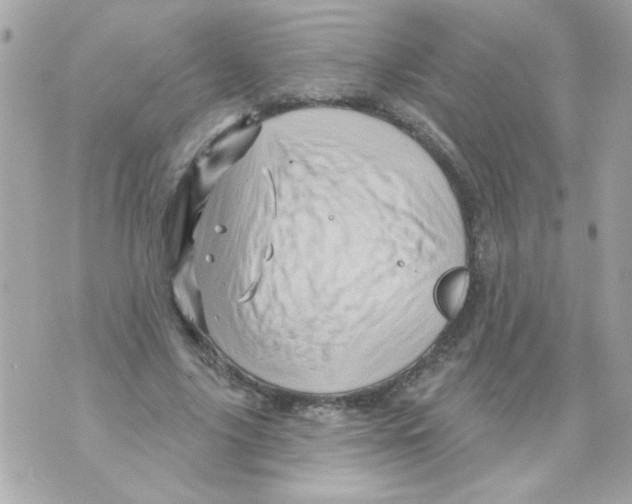 X0000070420635200607072335