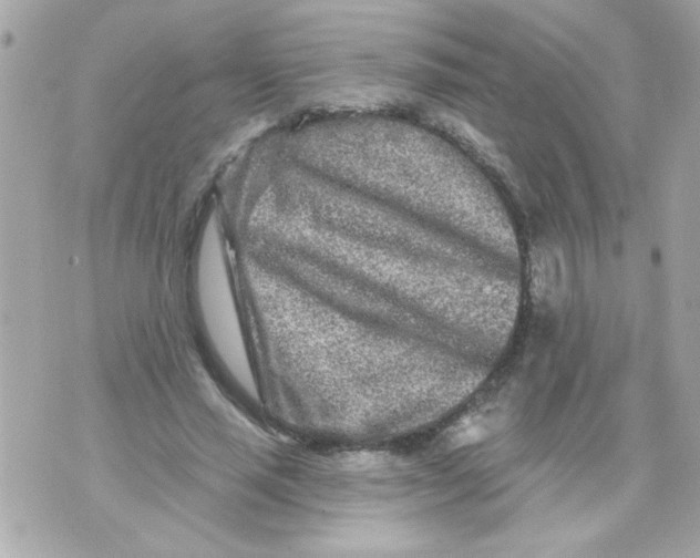 X0000070420637200607072335