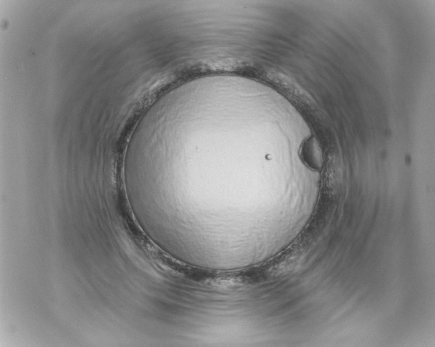 X0000070420639200607072335