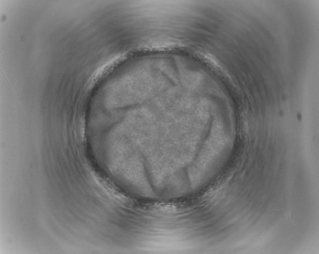 X0000070420640200607072335