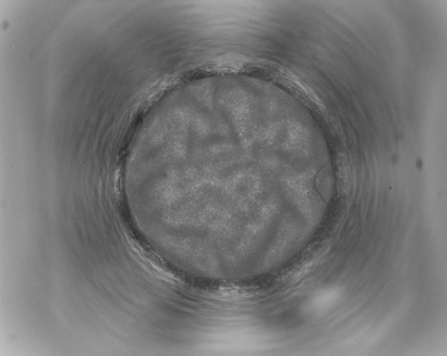 X0000070420641200607072335