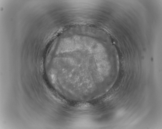 X0000070420642200607072335