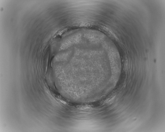 X0000070420643200607072335