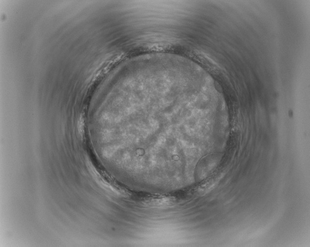 X0000070420646200607072335