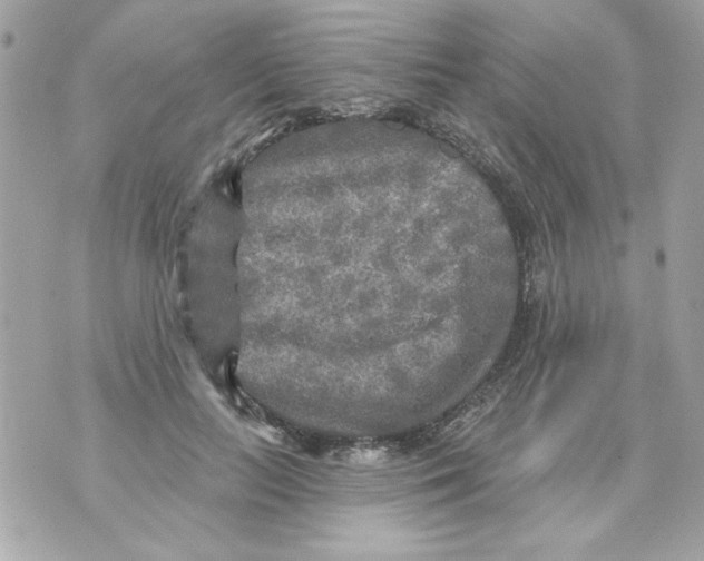 X0000070420647200607072335