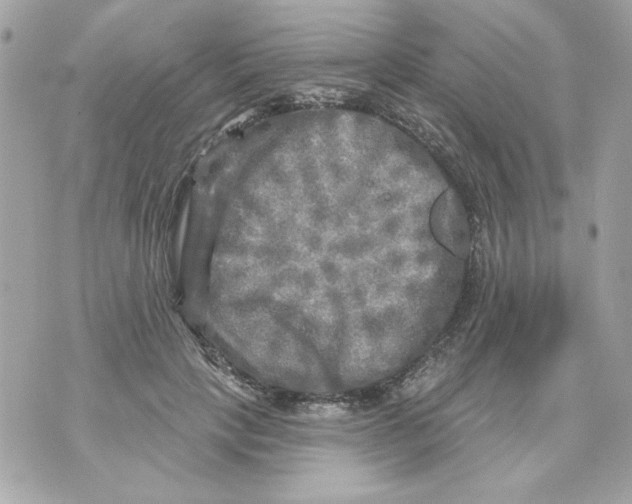 X0000070420649200607072335