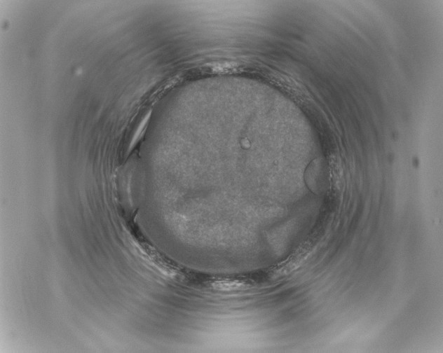 X0000070420650200607072335