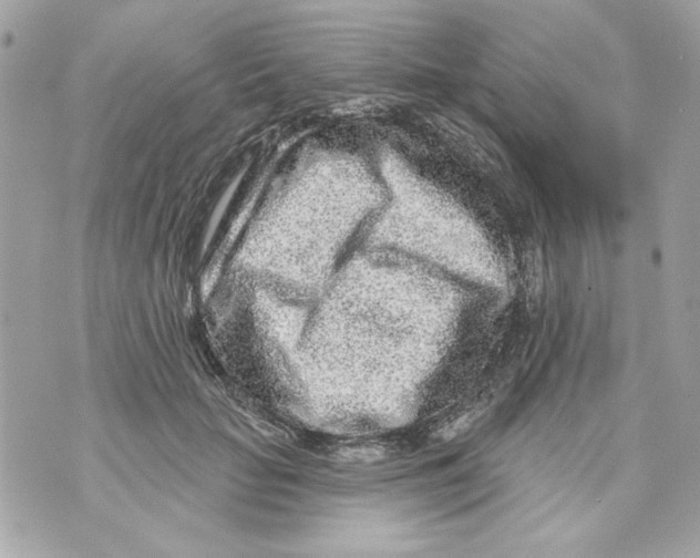 X0000070420653200607072335