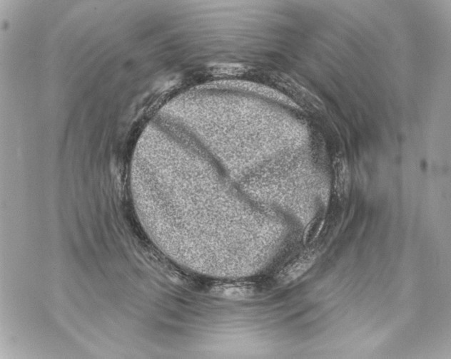 X0000070420655200607072335