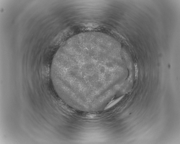 X0000070420657200607072336