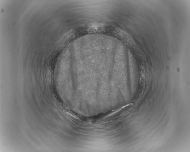 X0000070420659200607072336