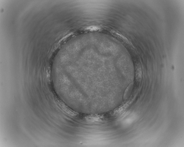 X0000070420661200607072336