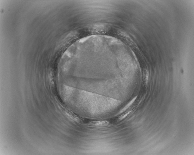 X0000070420663200607072336