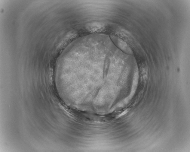 X0000070420664200607072336