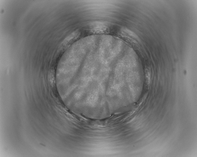 X0000070420665200607072336