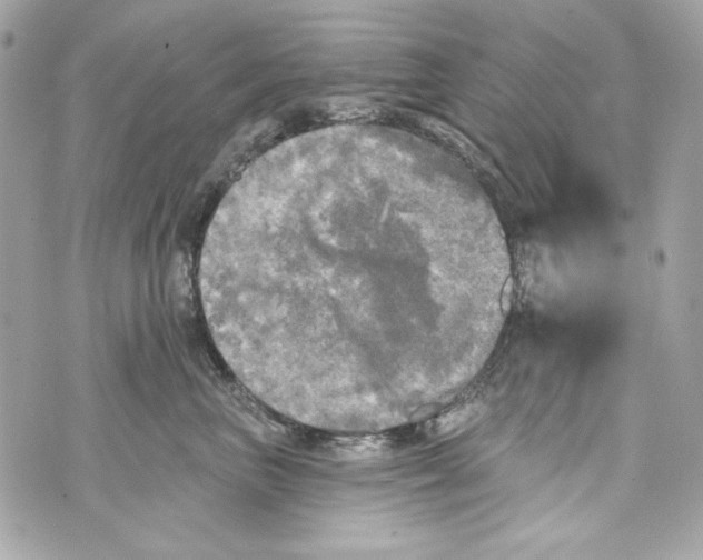 X0000070420667200607072336