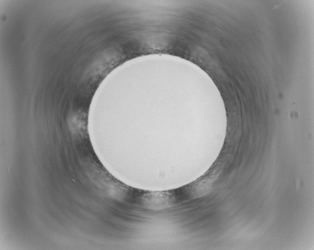 X0000070420672200607072336