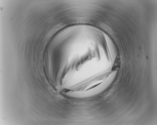 X0000070420673200607072335