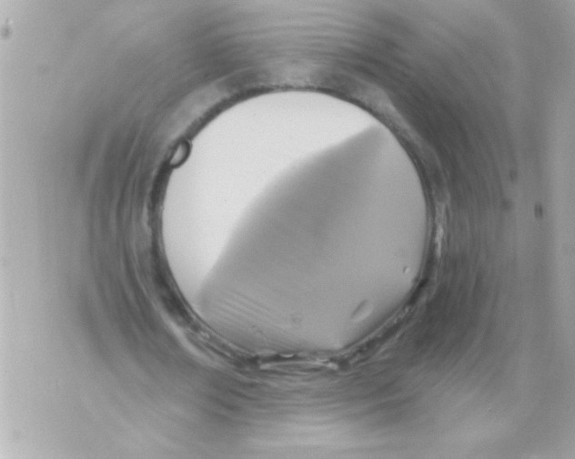 X0000070420674200607072335