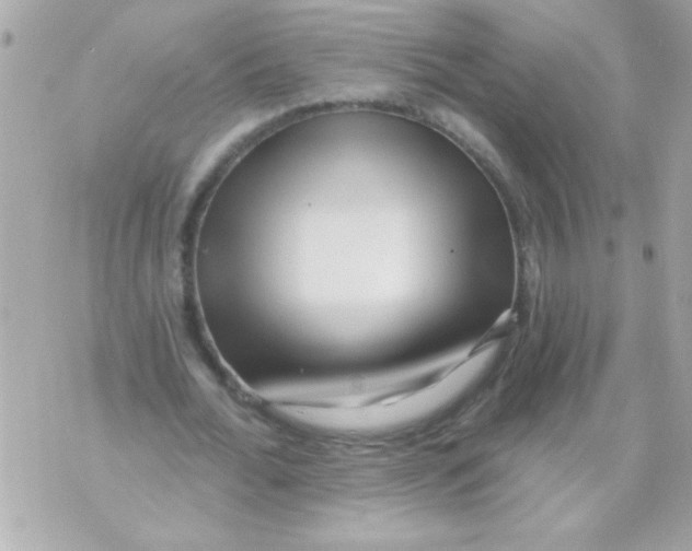 X0000070420676200607072335