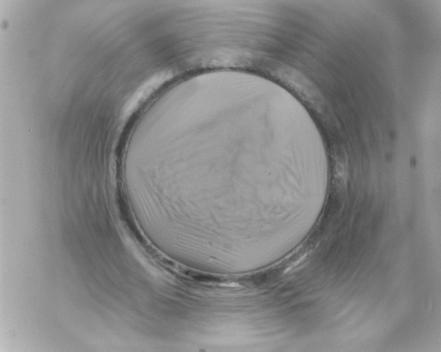 X0000070420678200607072335