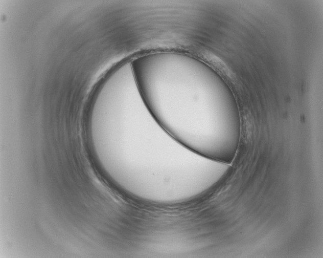 X0000070420680200607072335