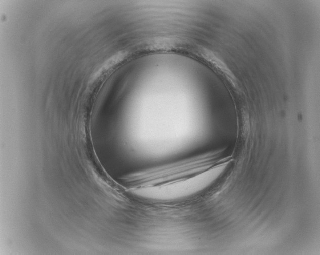 X0000070420681200607072335