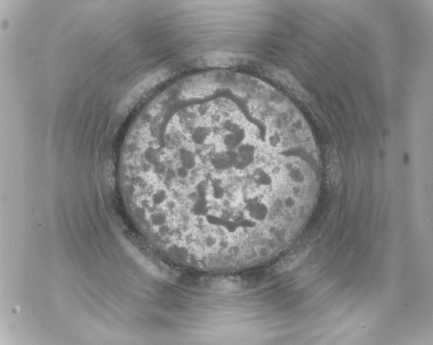 X0000070420683200607072335