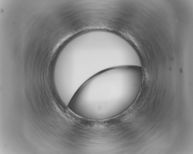 X0000070420684200607072335