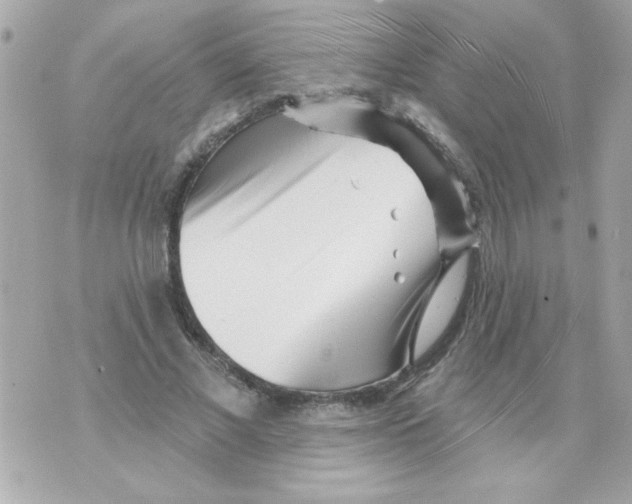 X0000070420685200607072335