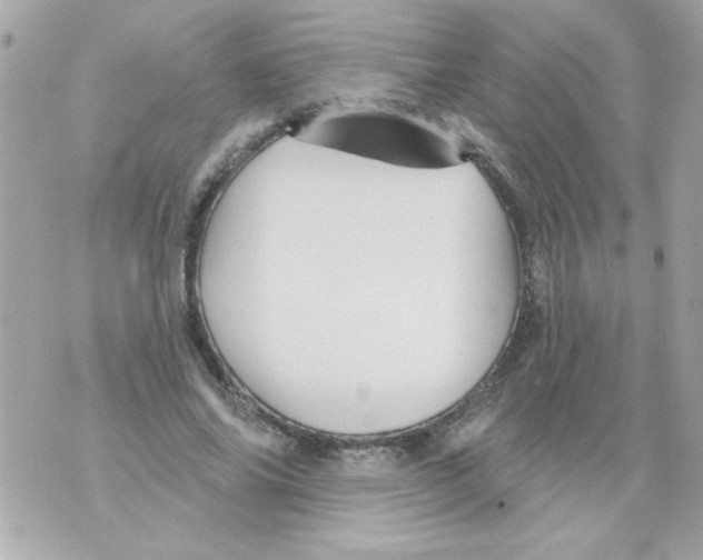 X0000070420686200607072335