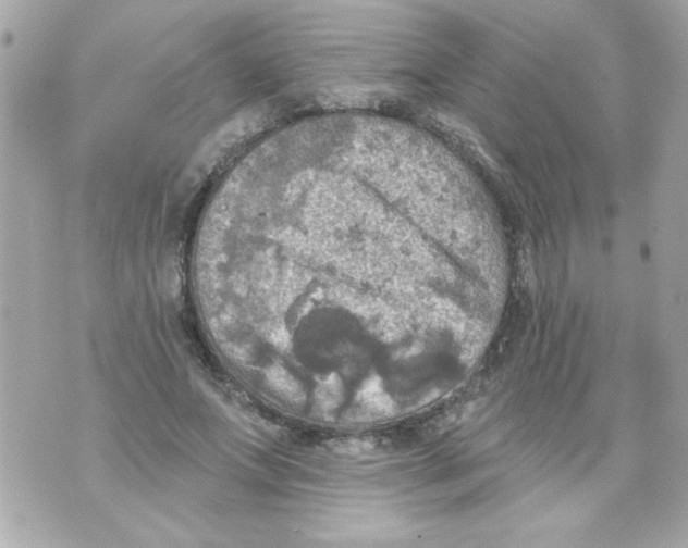 X0000070420687200607072335