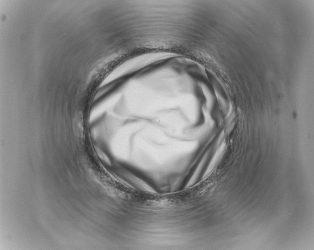 X0000070420688200607072335