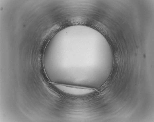 X0000070420690200607072335