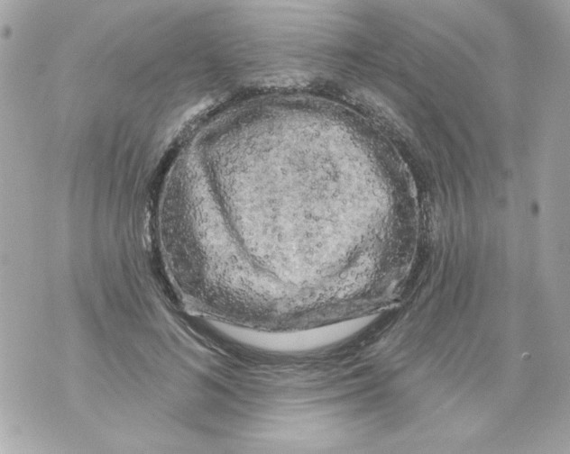 X0000070420692200607072335