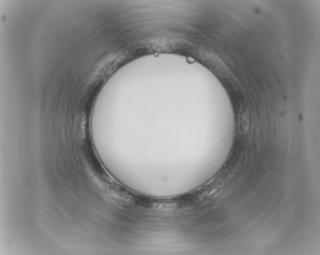 X0000070420694200607072335