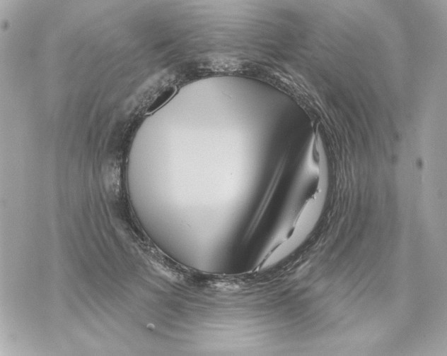 X0000070420697200607072335