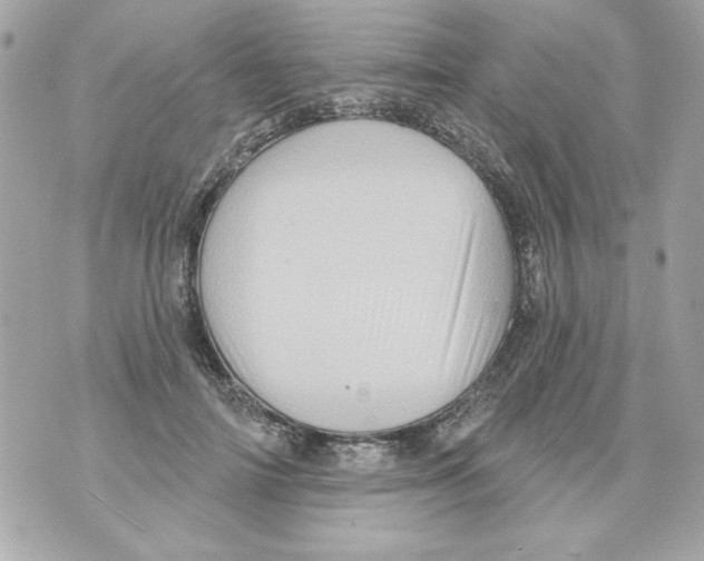 X0000070420698200607072335