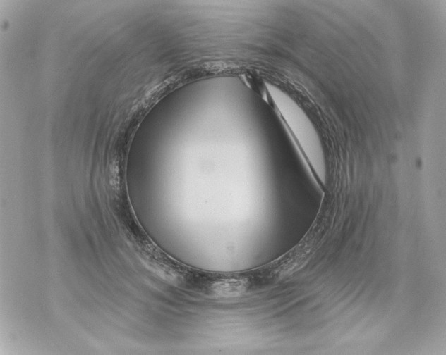 X0000070420700200607072335