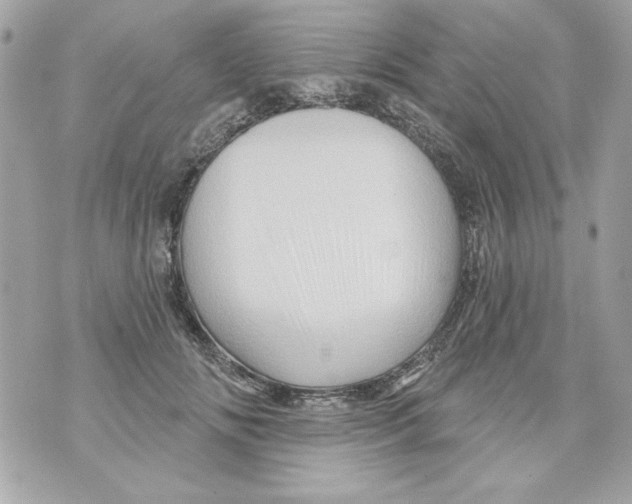 X0000070420702200607072334