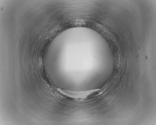 X0000070420704200607072334