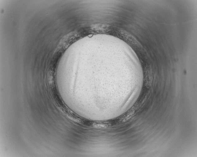 X0000070420706200607072334