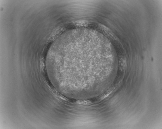 X0000070420707200607072334